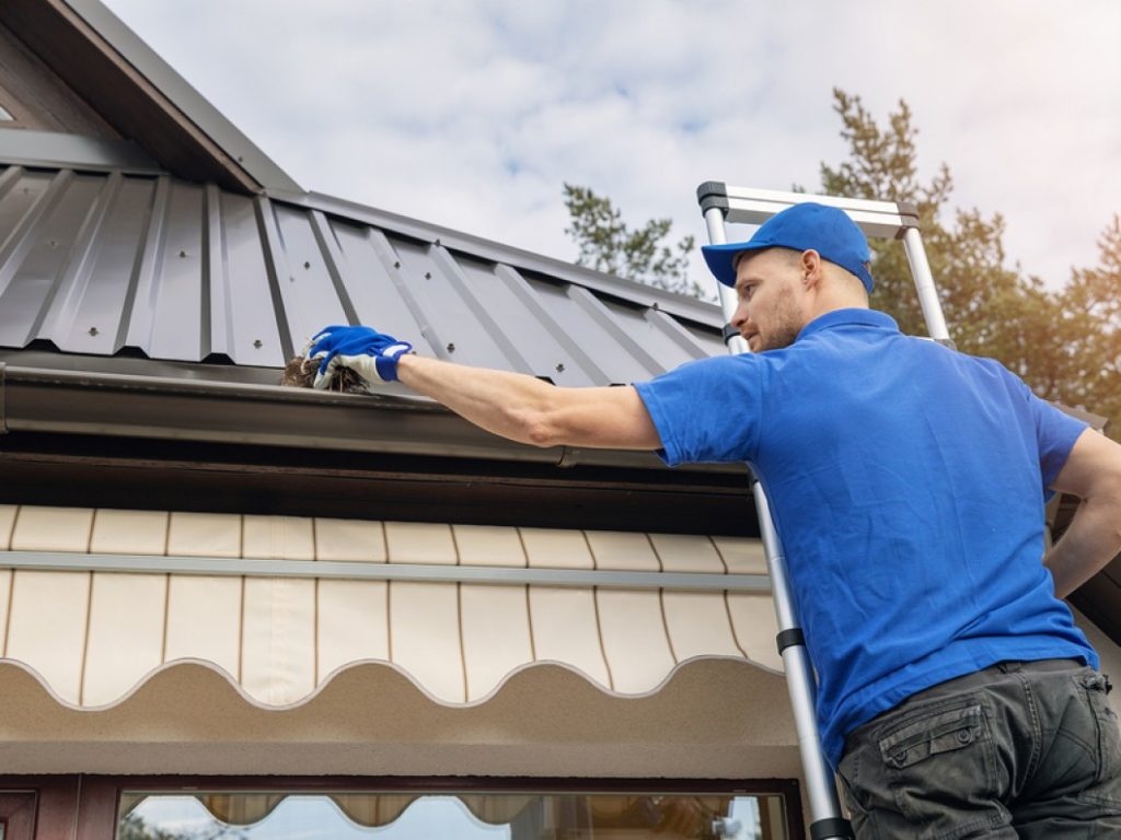 Gutter Cleaning Services